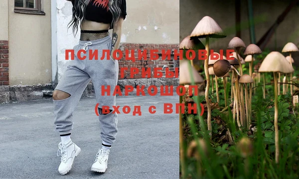 гашик Бронницы