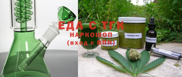 индика Богородск