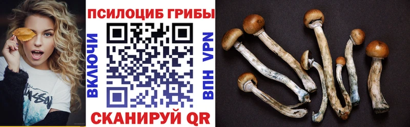 Галлюциногенные грибы мицелий где можно купить наркотик Горячий Ключ