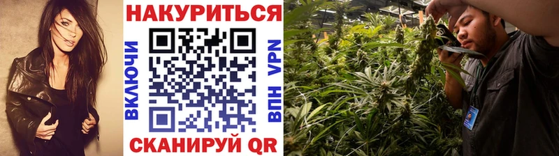 где можно купить наркотик  Горячий Ключ  Марихуана тримм 